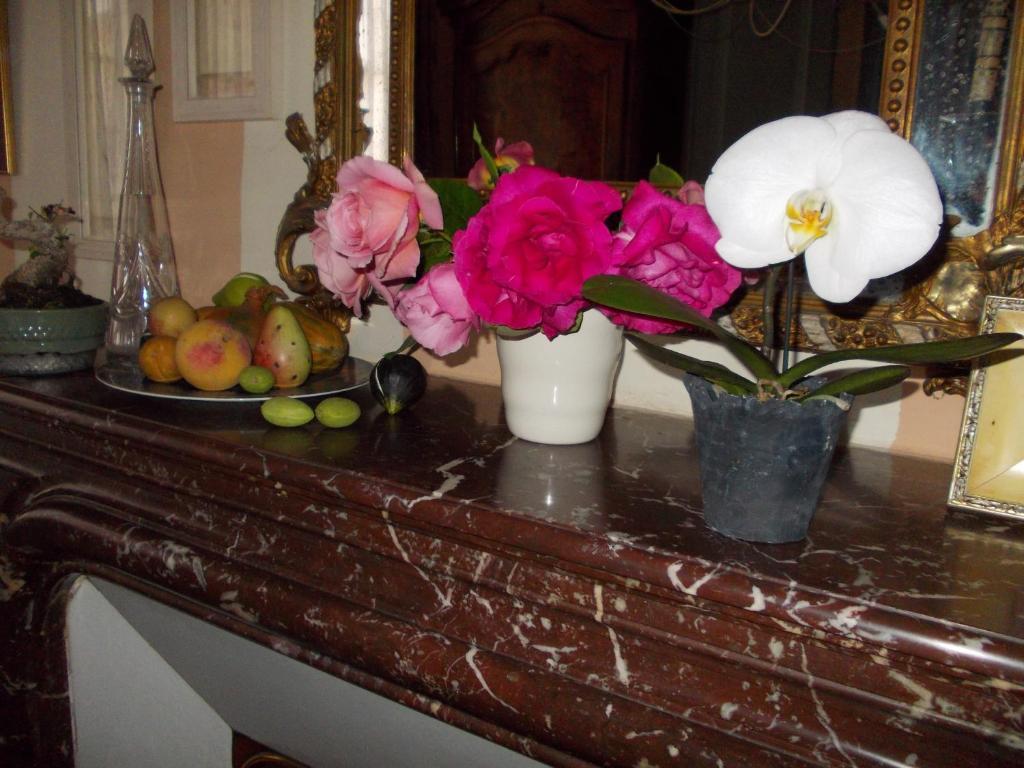 B&B Maison Gaudin Cognac Bagian luar foto